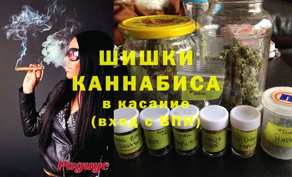 стафф Аркадак